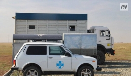 Стройка павлодарских ветпунктов пойдет беспрецедентными темпами