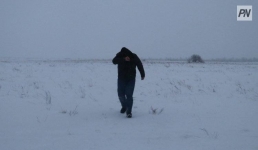 Павлодарская область вошла в топ-3 регионов по пропажам людей