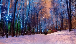 Зиму рисовали юные павлодарцы