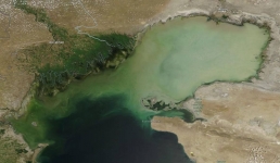 «Оно вернётся»: профессор Эльдар Эльдаров об обмелении Каспия