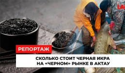 Сколько стоит чёрная икра на «чёрном» рынке в Актау