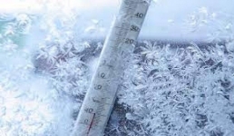 В Павлодаре отменили сельхозярмарку 17 февраля