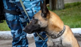 Где несут службу хвостатые полицейские в Павлодаре