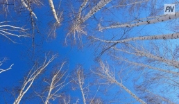 Мороз усилится в Павлодарской области 20 февраля