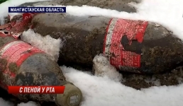 Дети пили выброшенные на свалку газированные напитки в Актау