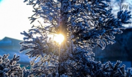 Малооблачно будет в Павлодаре 23 февраля