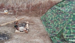 Когда откроется сезон охоты в Мангистау