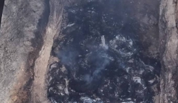 Сожжение трупов собак снял на видео блогер из Актау