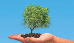 Власти Мангистау готовы заплатить более 130 миллионов тенге за создание зеленой зоны вокруг хвостохранилища «Кошкар-Ата»