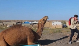 Сакральный Мангистау покажут в передаче «Орел и решка. Казахи»