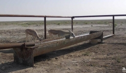 В природном парке Мангистау обустроен водопой для зверей и птиц