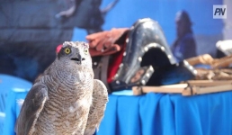 В Павлодарской области креативно отметят Наурыз