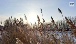 Снег и облачность: погода в Павлодарской области 1 февраля