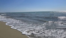 Три участка вдоль моря на 1,1 млрд тенге возвращены государству в Мангистау