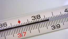 Какие вирусные заболевания выявлены у жителей Мангистау в этом эпидемиологическом сезоне?