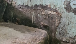 Жильцы бьют тревогу: лестница в доме № 57 в 4 микрорайоне Актау просела из-за интенсивного образования пара в подвале