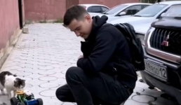 Житель Актау кормит бездомных животных с помощью радиоуправляемой машинки