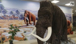 Жителям региона расскажут о молодости Павлодарской области