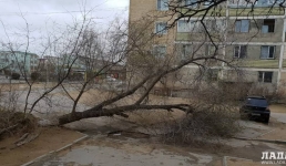 Штормовое предупреждение объявлено в Мангистау