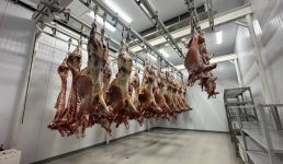 Как программа «Жұмыс жасаймын» помогла жанаозенцам устроиться на мясокомбинат