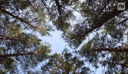 Снизить влияние туризма на климат предлагают в Павлодаре