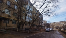 Под «дамокловым мечом»: падения деревьев боятся жители Актау