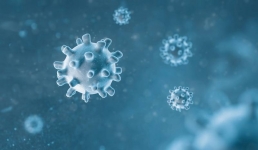 Недельный ликбез о бешенстве устроят эпидемиологи Павлодара