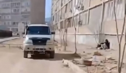 Гадившего под окнами мужчину в Актау привлекли к ответственности