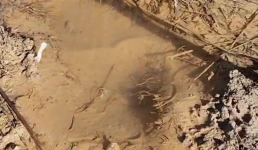 Утечкой питьевой воды у акимата села Мангистау недовольны жители