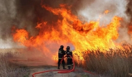 Камыш горит на Каспии вторые сутки: тушение затрудняют болота