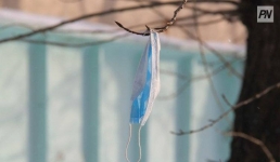 Грипп в Павлодарской области отступит этой весной