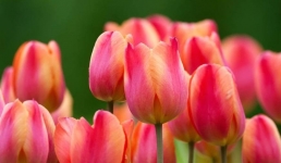 «Чтобы нас понимали»: сотрудницы департамента госдоходов Мангистау рассказали, чего хотят женщины