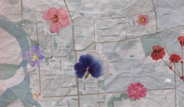 Тепловая карта: где находятся самые «цветочные» районы Павлодара