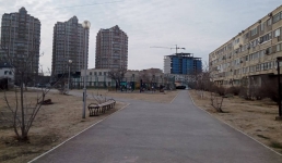 Пустырь вместо аллеи: жители Актау просят засадить земельный участок деревьями