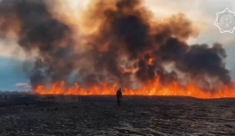 Неделю тушили камыш на побережье Каспия