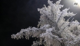 Снег с дождём ожидают в Павлодарской области 11 марта