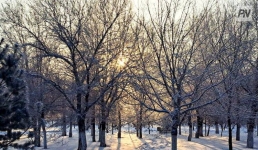 Туман и гололед: погода в Павлодарской области 12 марта