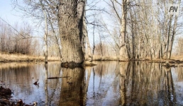 В Павлодарской области увеличили зону риска по паводкам