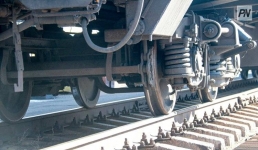 В Павлодарской области поезд сбил двух лошадей