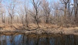 В апреле средняя температура воздуха в Павлодарской области будет выше нормы