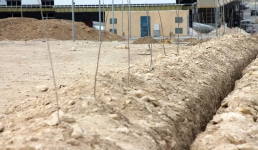 Жители Актау раскритиковали очередную посадку деревьев