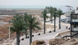 Пальмы «завяли» на набережной Актау