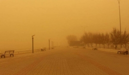 Штормовое предупреждение сделали синоптики в Мангистау