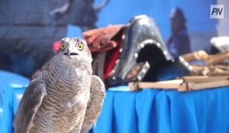 Павлодарцев пригласили поймать Наурыз-вайб