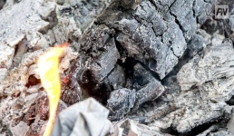 Павлодарские огнеборцы потушили дом