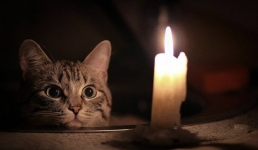 Несколько микрорайонов Актау остались без электроэнергии