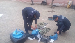 В Жанаозене изъяли крупную партию насвая у 49-летней женщины