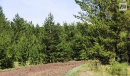 Павлодарский резерват стал призером «Марша парков»