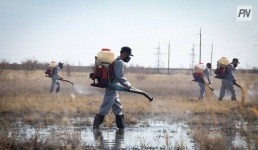 В Павлодар доставили вторую партию препарата против гнуса