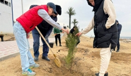 Чиновники высадили несколько сотен деревьев в Актау